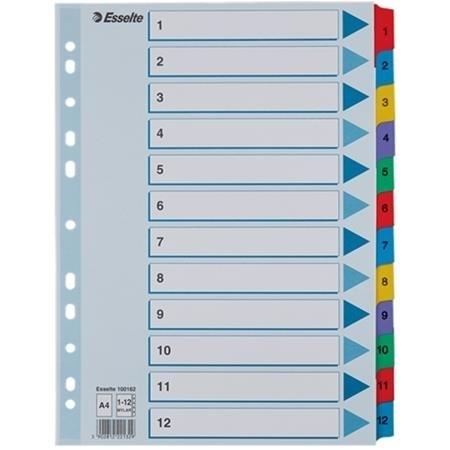 INDICE 1-12 A4 CARTON MYLAR MULTICOLOR CON CARATULA ESSELTE