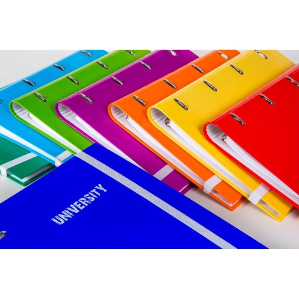 CARPETA T. FORRADA ANILLAS MIXTAS 25MM CON GOMA+RECAMBIO 120HJ 90G 5 BANDAS DE COLOR PACSA