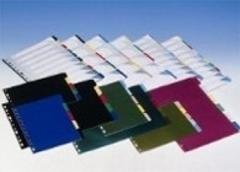 SEPARADORES PVC TRANSLUCIDOS FOLIO 10 POSICIONES GRAFOPLAS