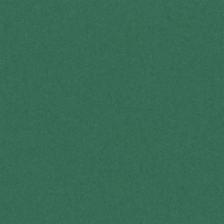 CARTULINA IRIS A4 185G VERDE ABETO 50H.