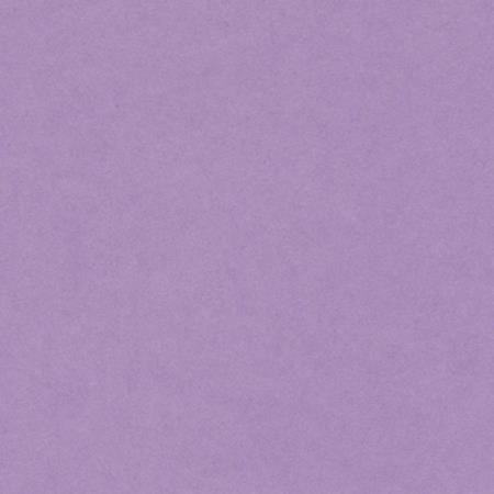 CARTULINA IRIS 50X65 185G LILA 25H.
