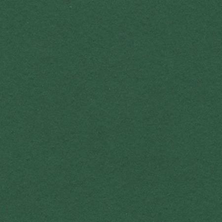 CARTULINA IRIS 50X65 185G VD.AMAZONAS 25H.