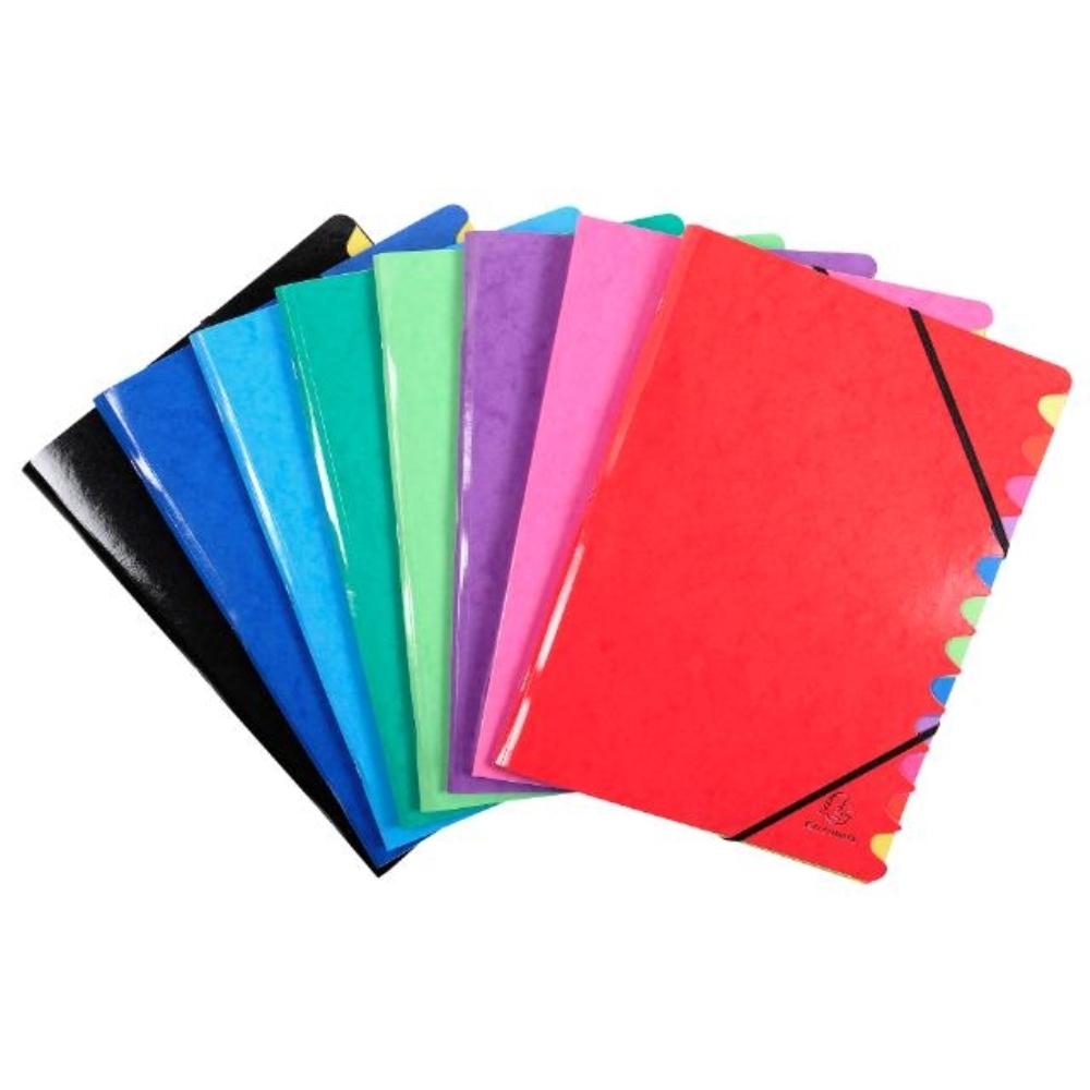 CLASIFICADOR GRAPADO CARTÓN PLASTIFICADO 12 DEPARTAMENTOS 8 COLORES SURTIDOS EXACOMPTA
