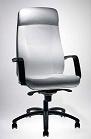 SILLON P. OLIVA TRITON 10030AT